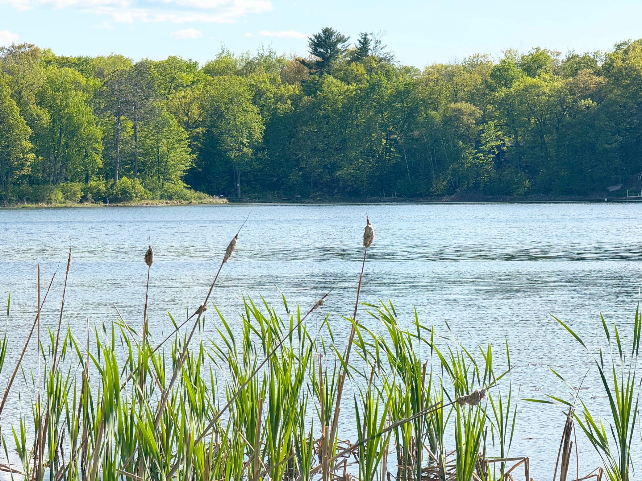 Looking out across the lake from the boat access.