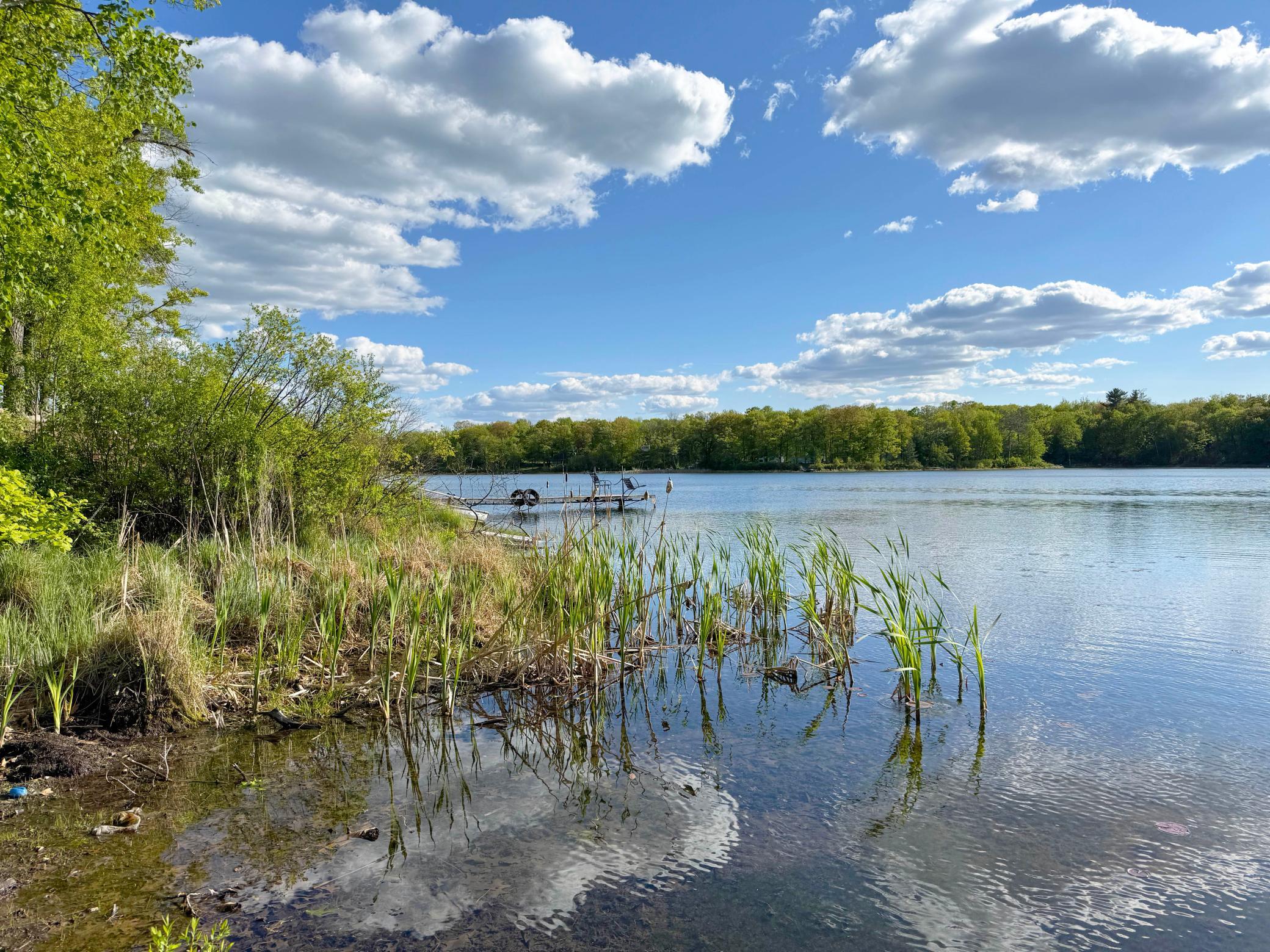 Another shot looking out across the lake from the boat access.