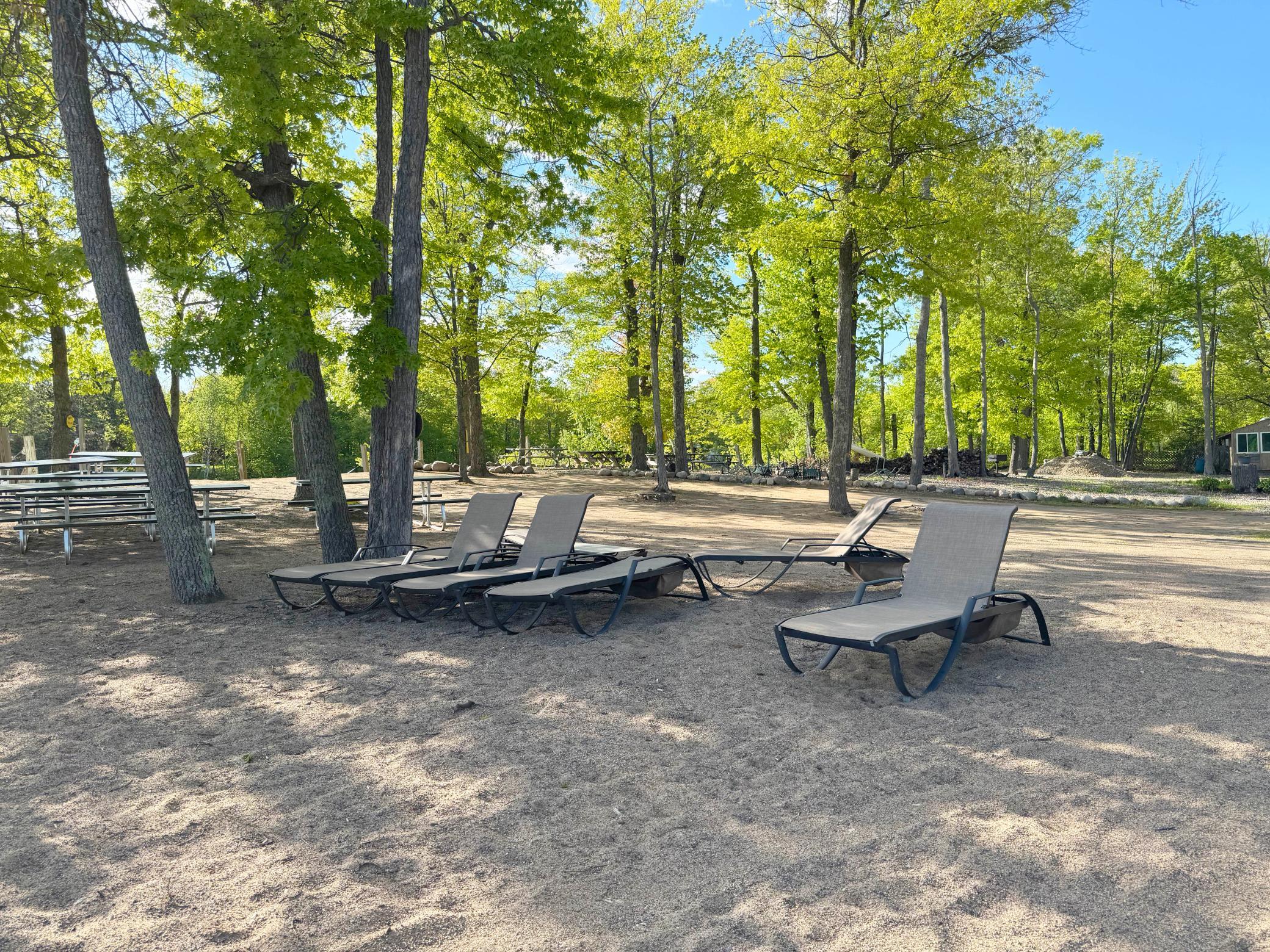 Looking back at the community park from the beach.
