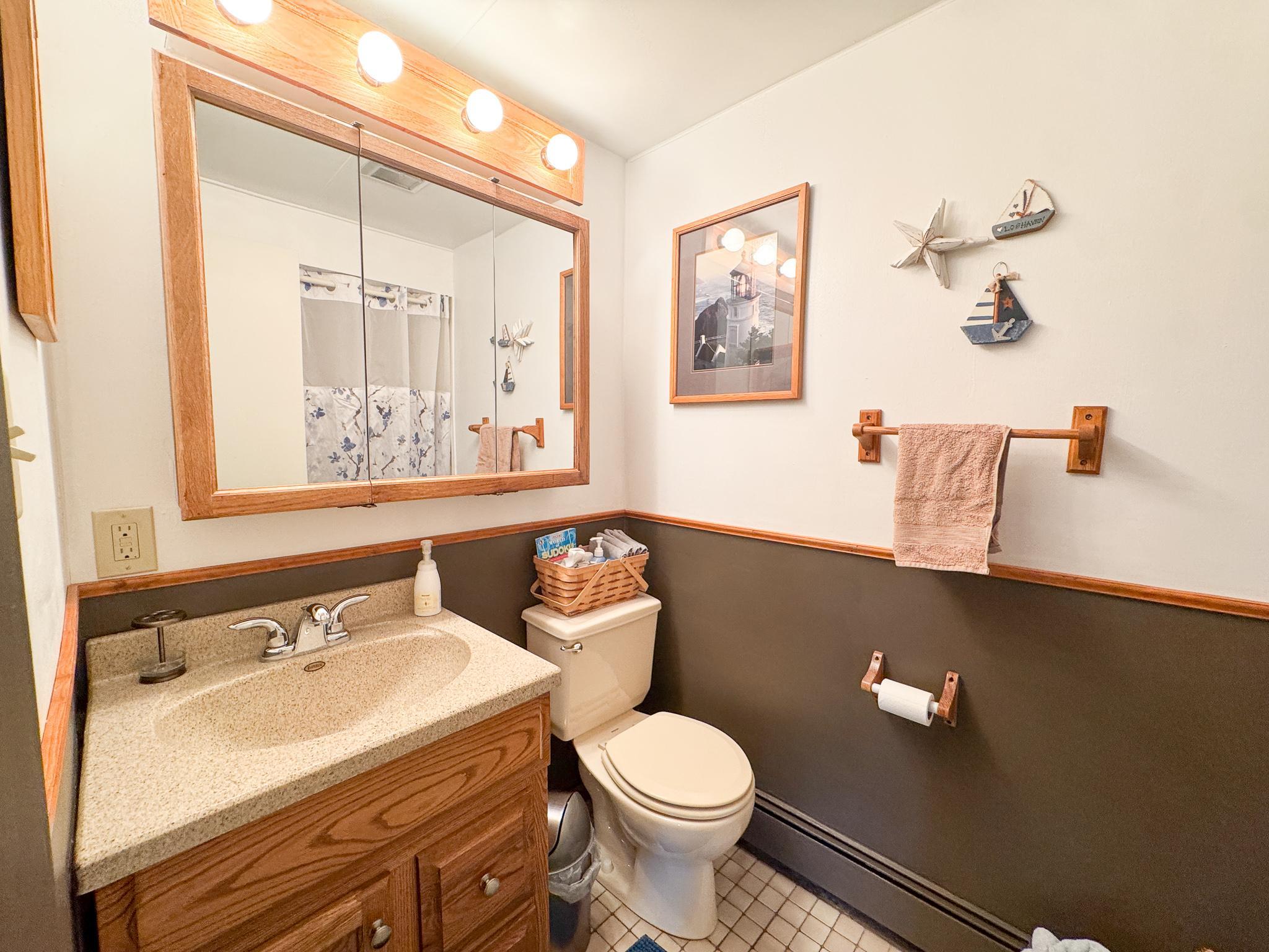 Lower Level Bathroom