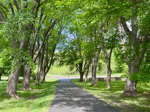 5510 Heather Drive SW, Rochester, MN 55902