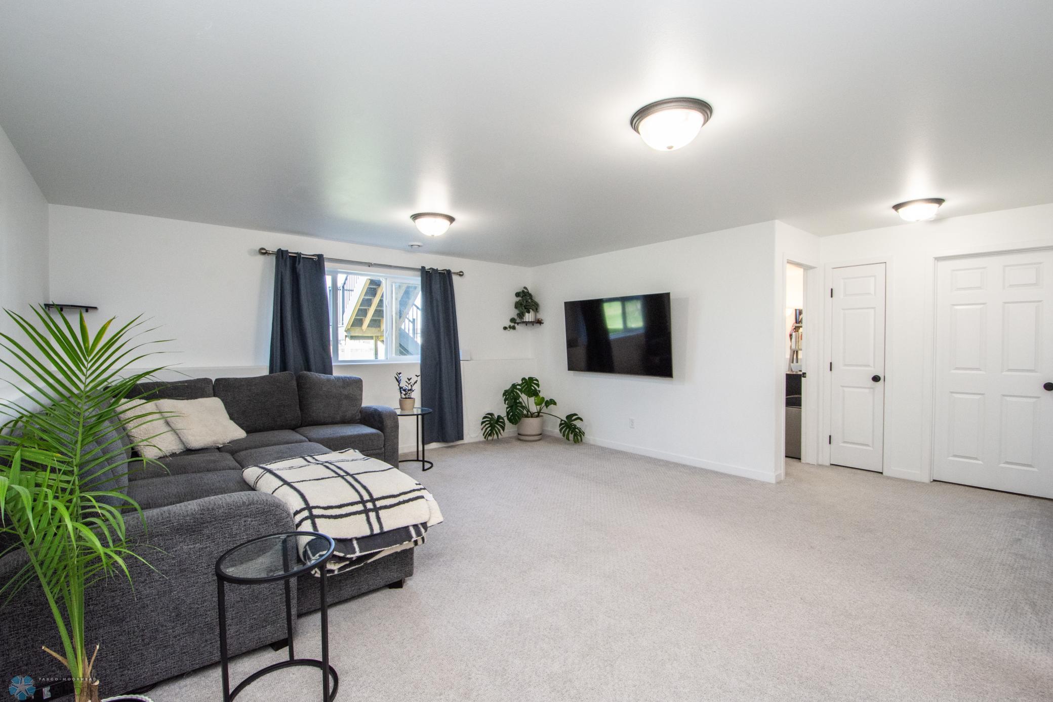 Lower Level Living Space
