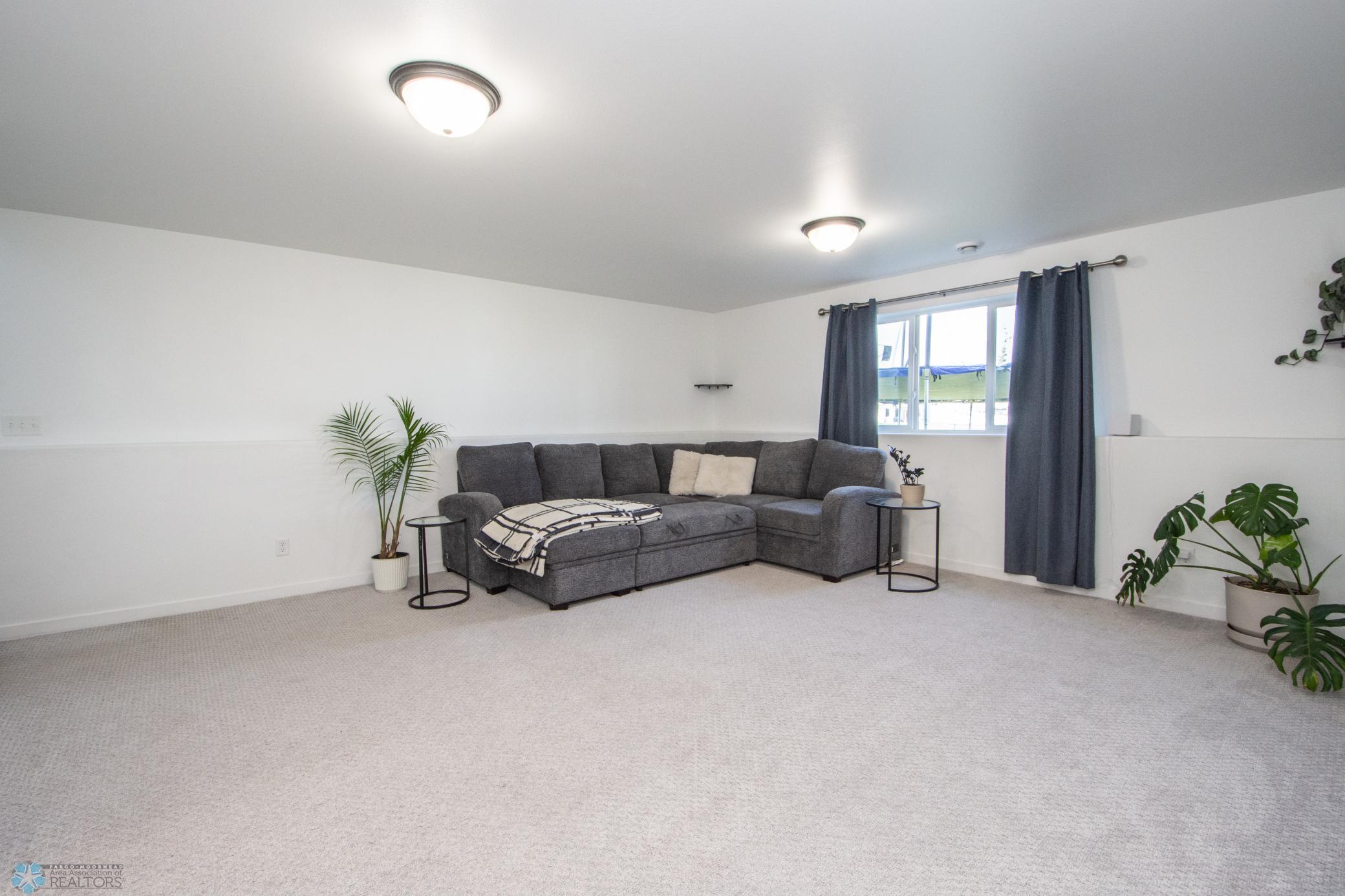 Lower Level Living Space