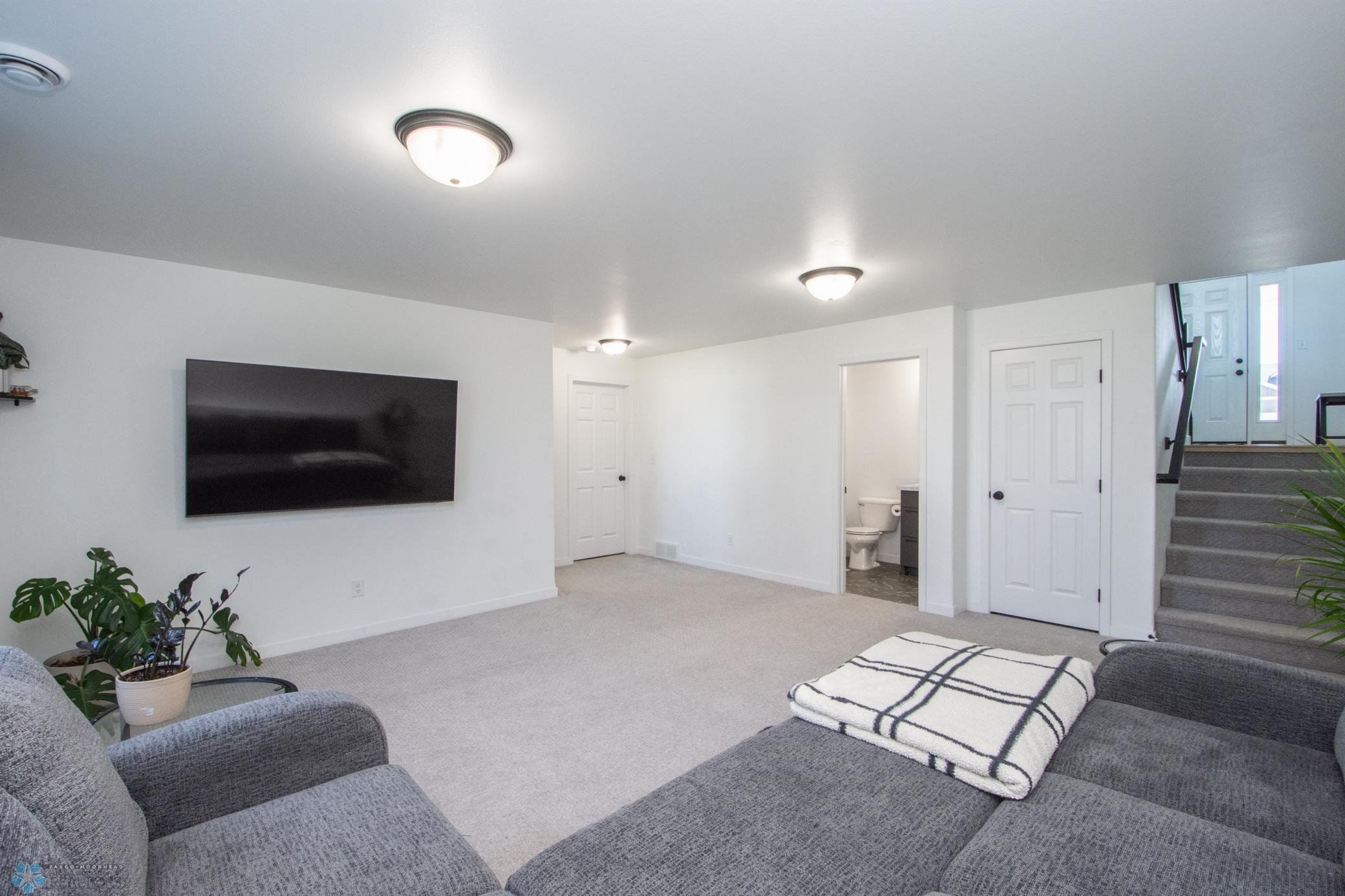 Lower Level Living Space
