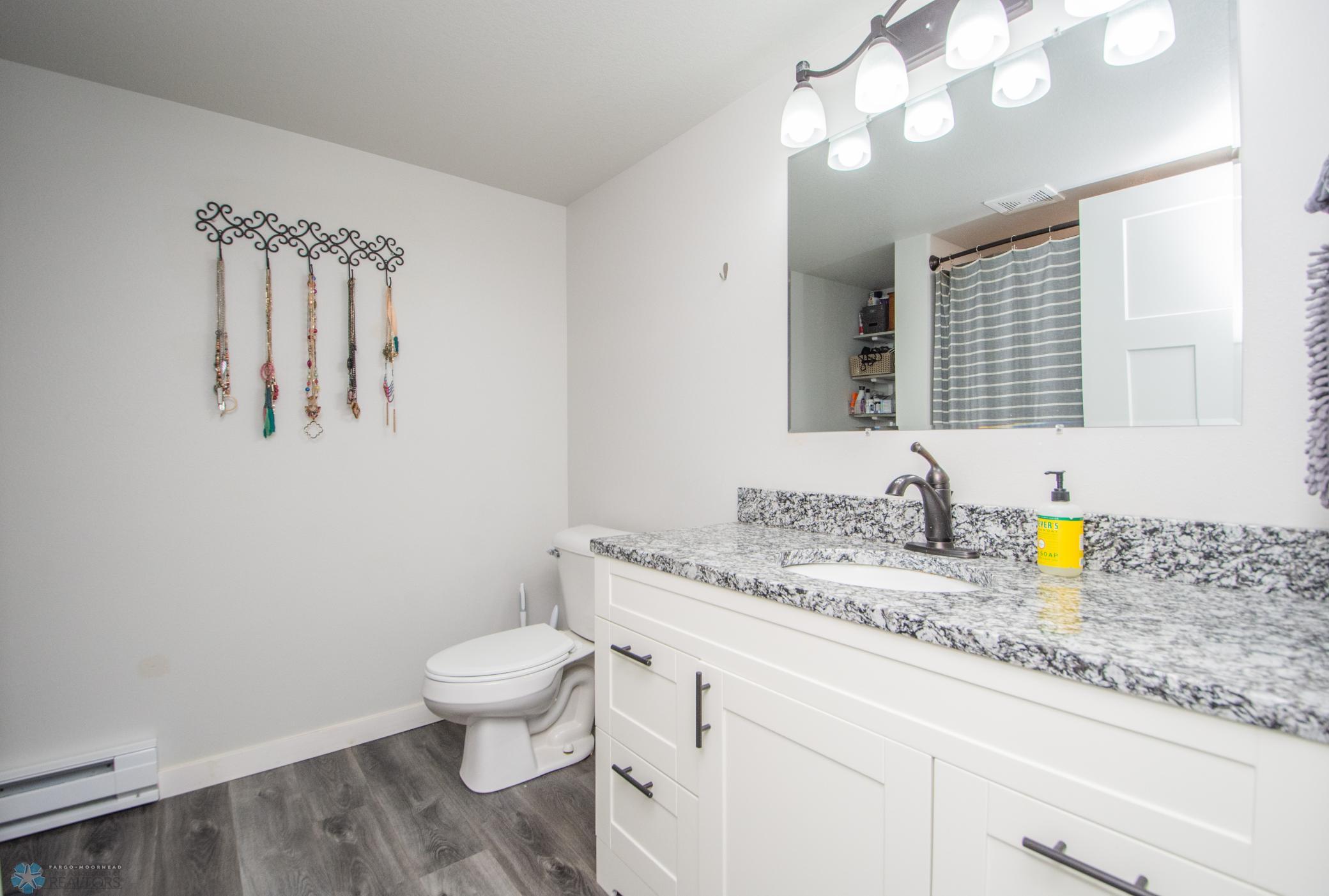 Basement Bathroom