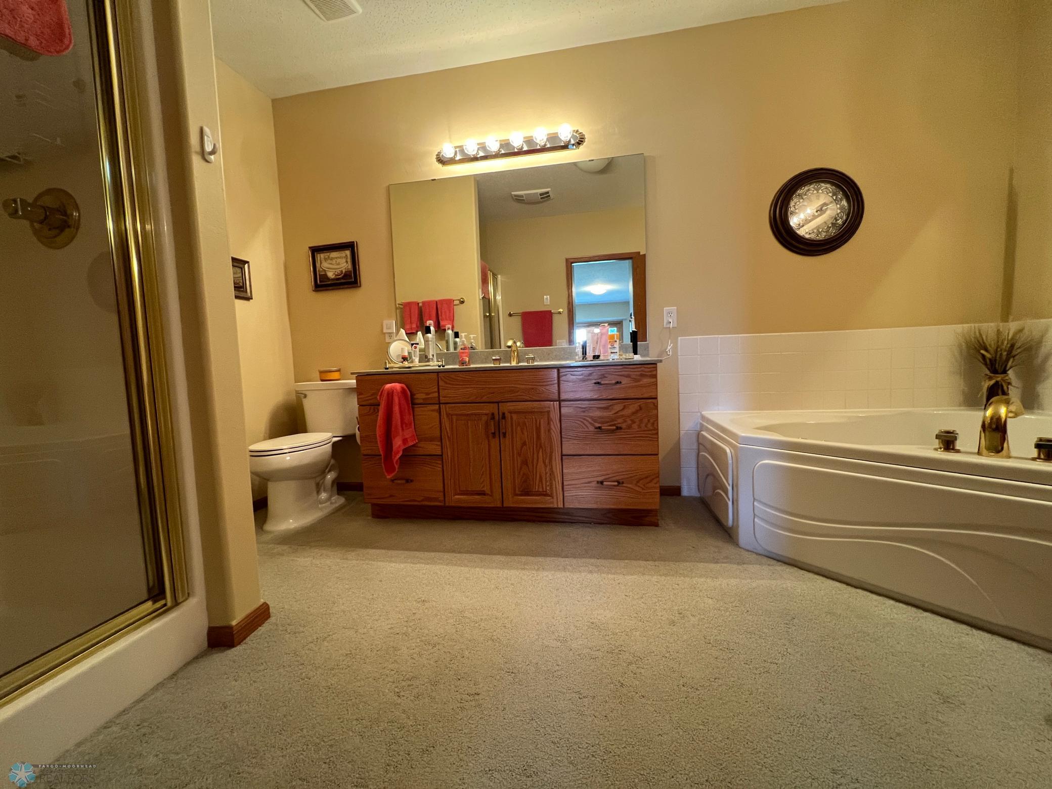 Primary bath - shower, jetted tub, and dual sinks