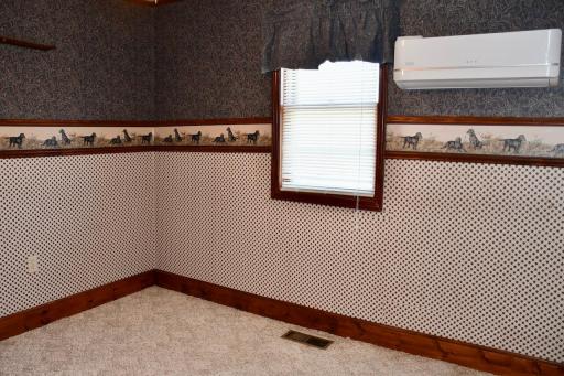 1005 Elizabeth Avenue N, Thief River Falls, MN 56701