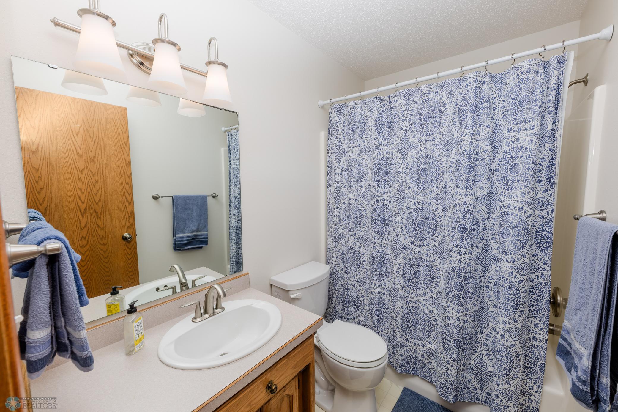 Lower Level Bath