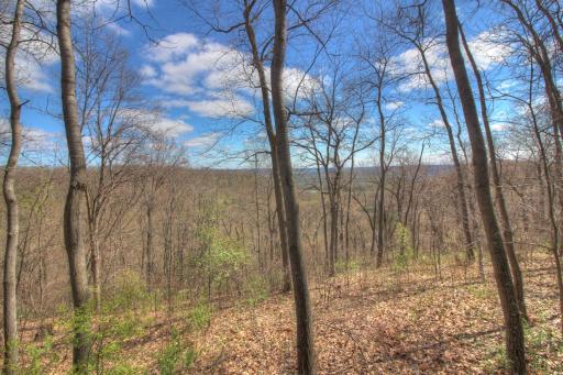 W8387 Brown Lane, Pepin, WI 54759