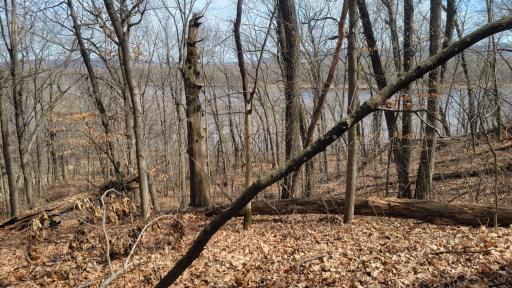 View of Chippewa River from Communally owned 20 acres