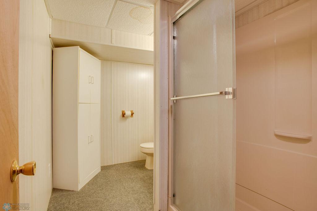 Lower Level Bathroom
