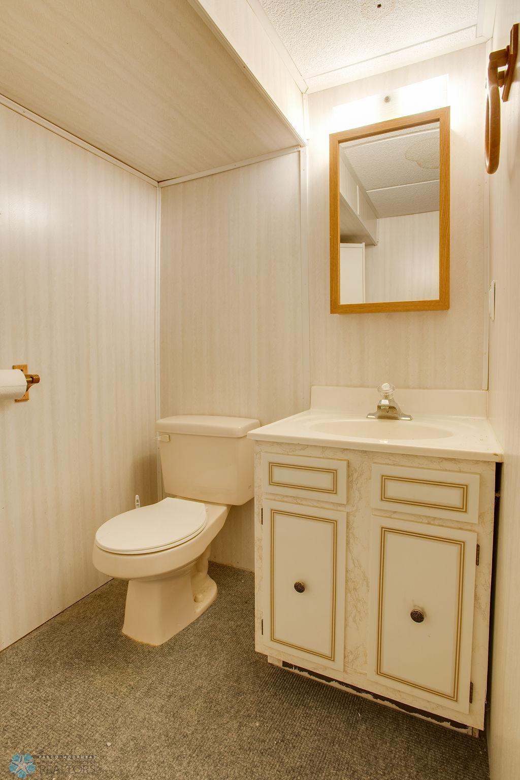 Lower Level Bathroom