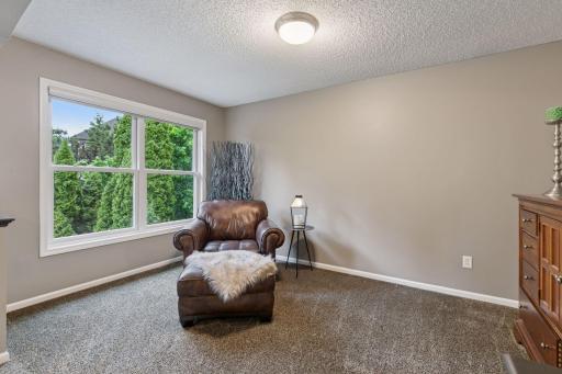 Flex room abuts the primary bedroom. Great place to unwind and relax~