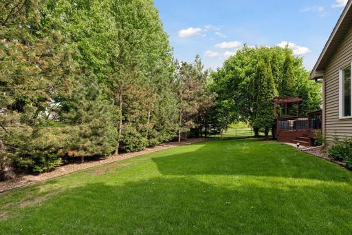 Plenty of green space; side yard as well.