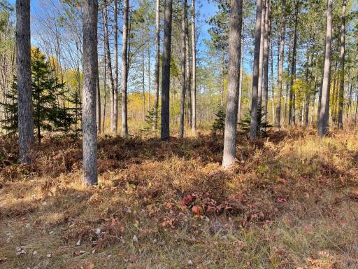 24396 US 2 Highway, Grand Rapids, MN 55744