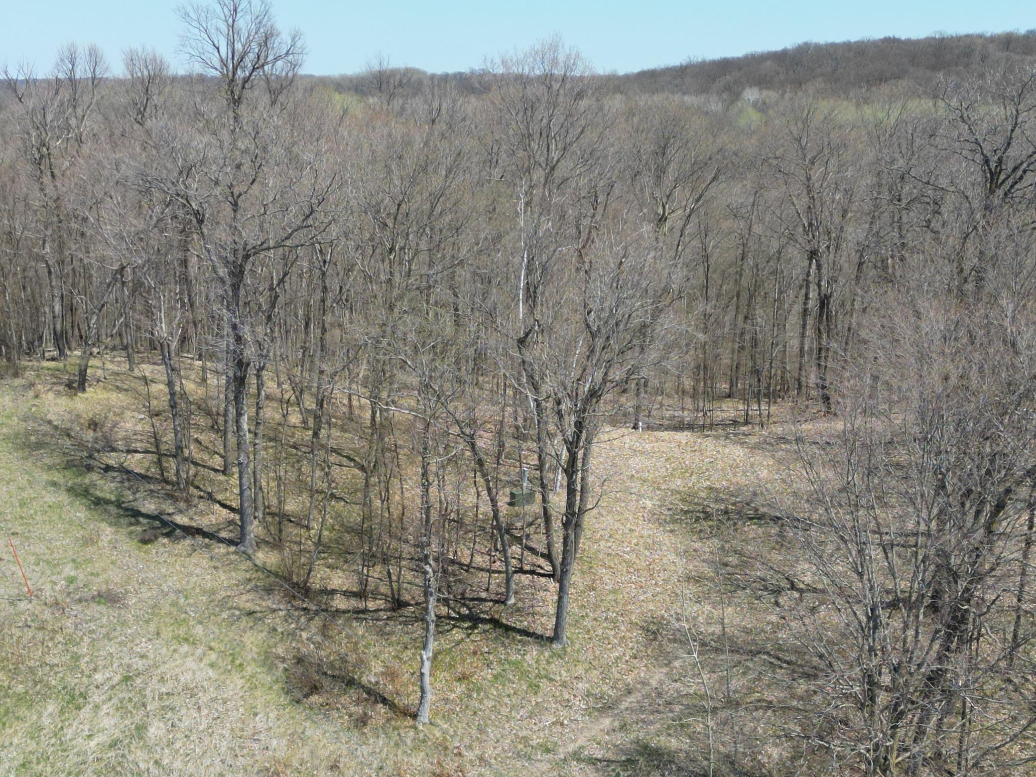 South Driveway.JPG