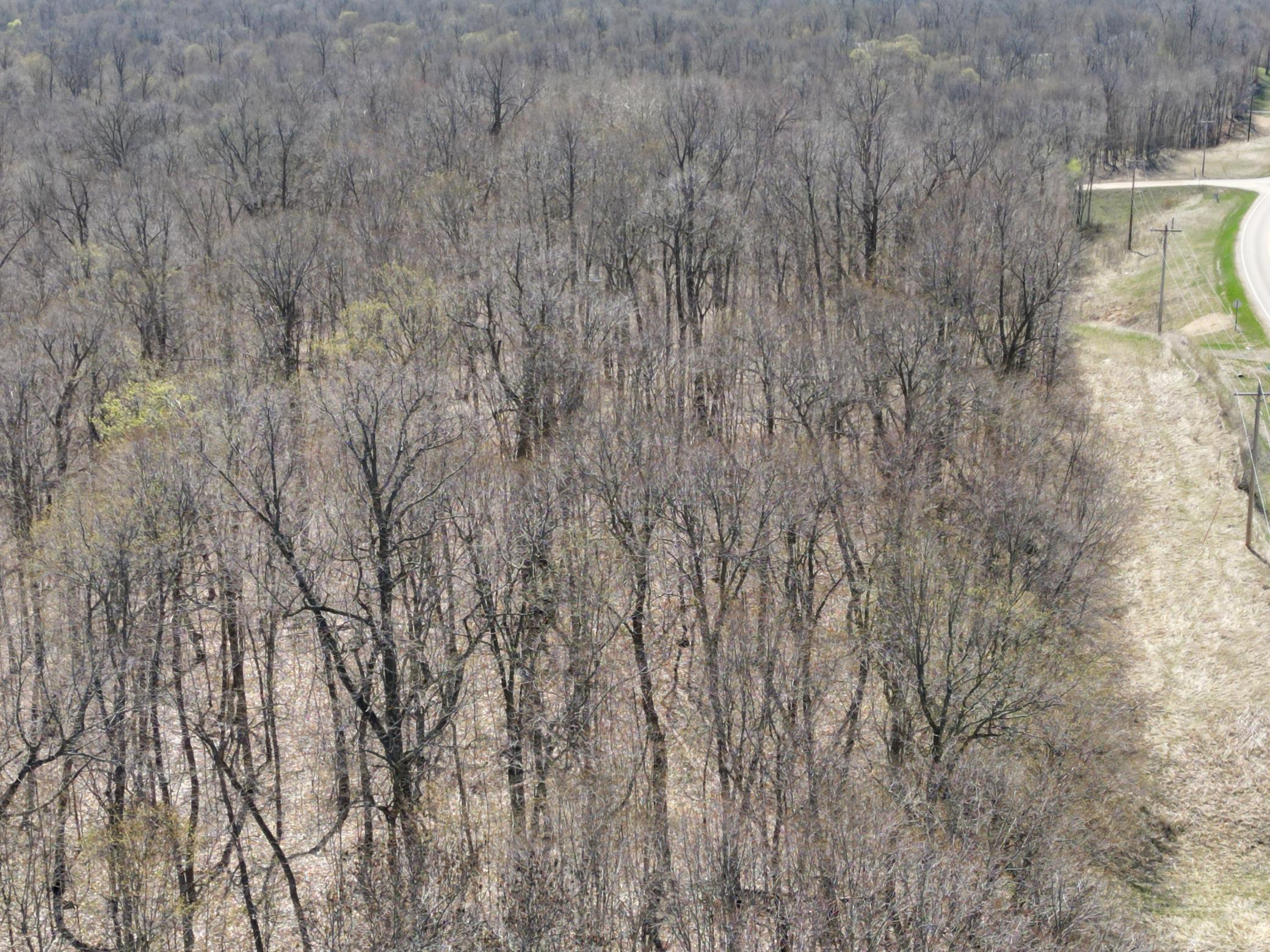 View Looking South.JPG