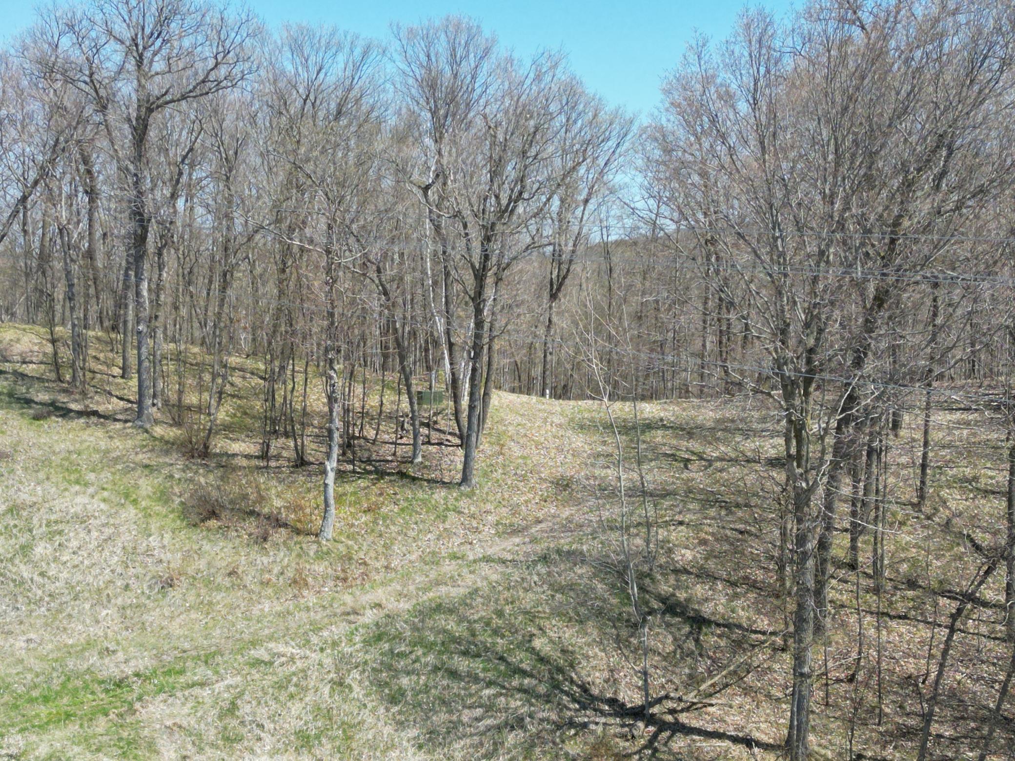 Wooded 3.8 Acre Building Site.JPG