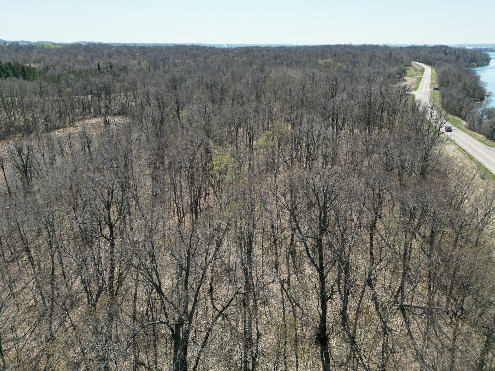 3.8 Acres Of Mature Trees.JPG