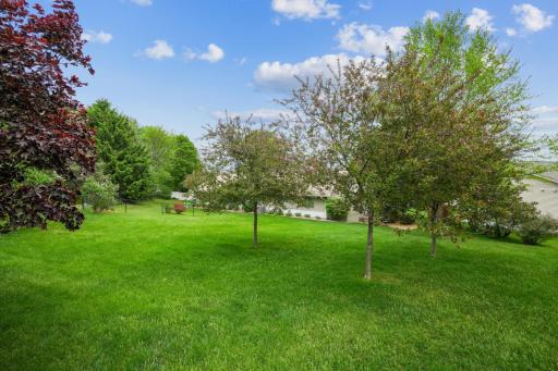 347 Wesley Court, River Falls, WI 54022