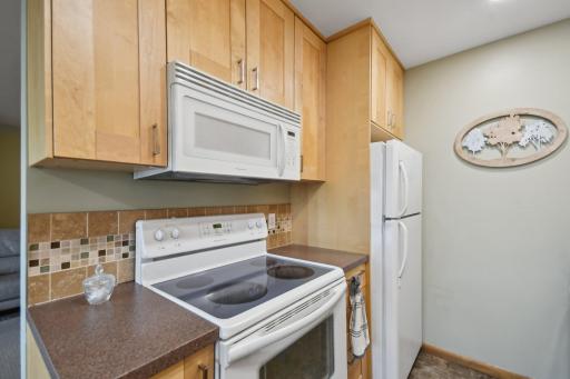 1393 Colonial Drive, Saint Paul, MN 55113