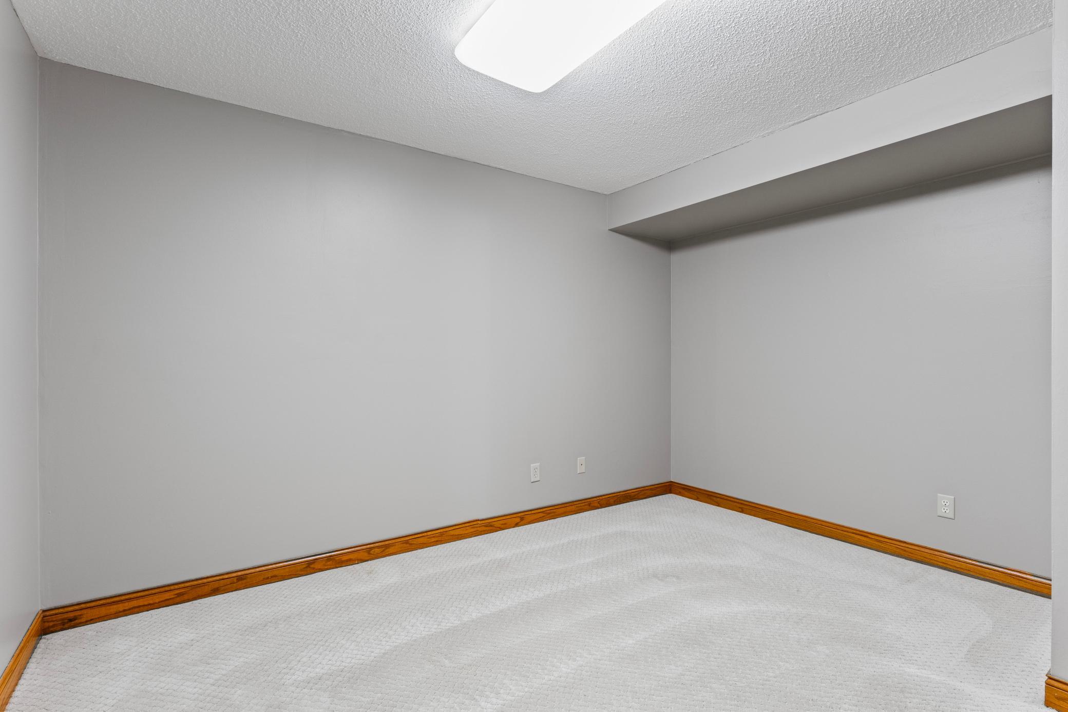 Bonus Extra Room in the Lower Level