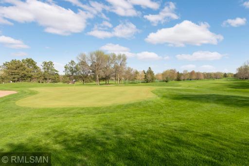 8767 Springwood Drive, Saint Paul, MN 55125