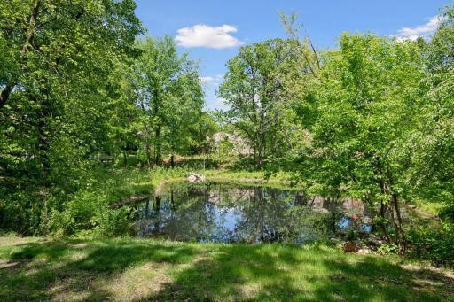 10301 Stanley Circle Pretty Pond Views.jpg