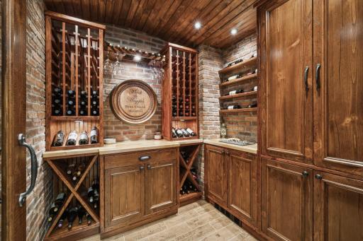 10596 Wabigoniss Shores, Pine River, MN 56474