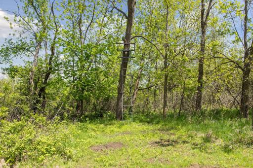 32875 Stanton Trail, Cannon Falls, MN 55009