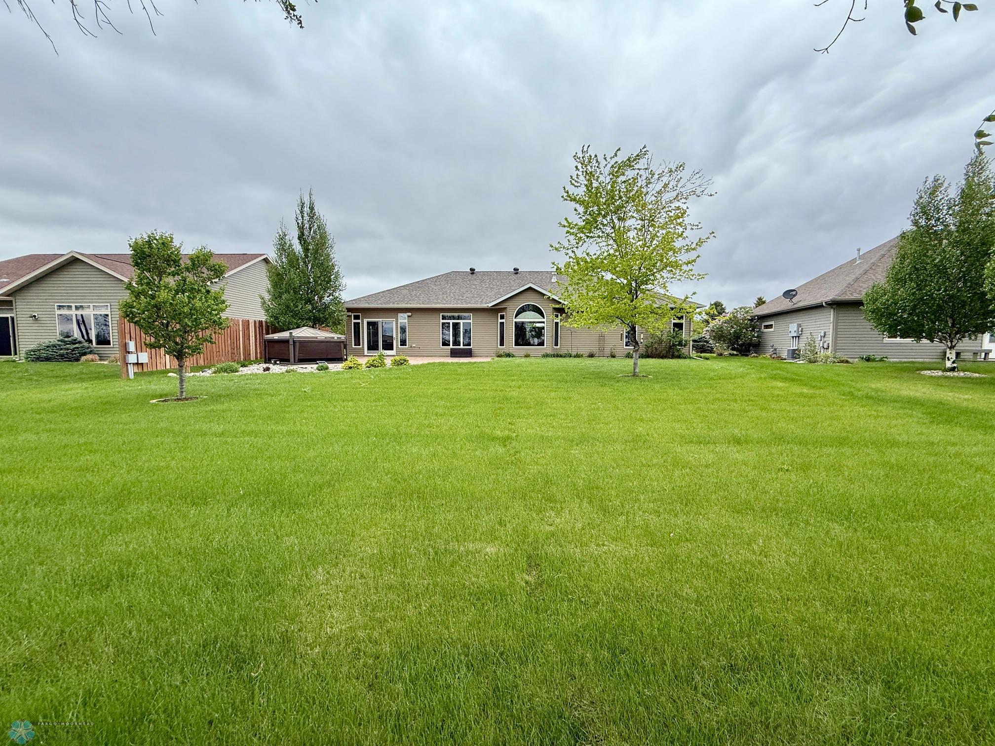 Back yard