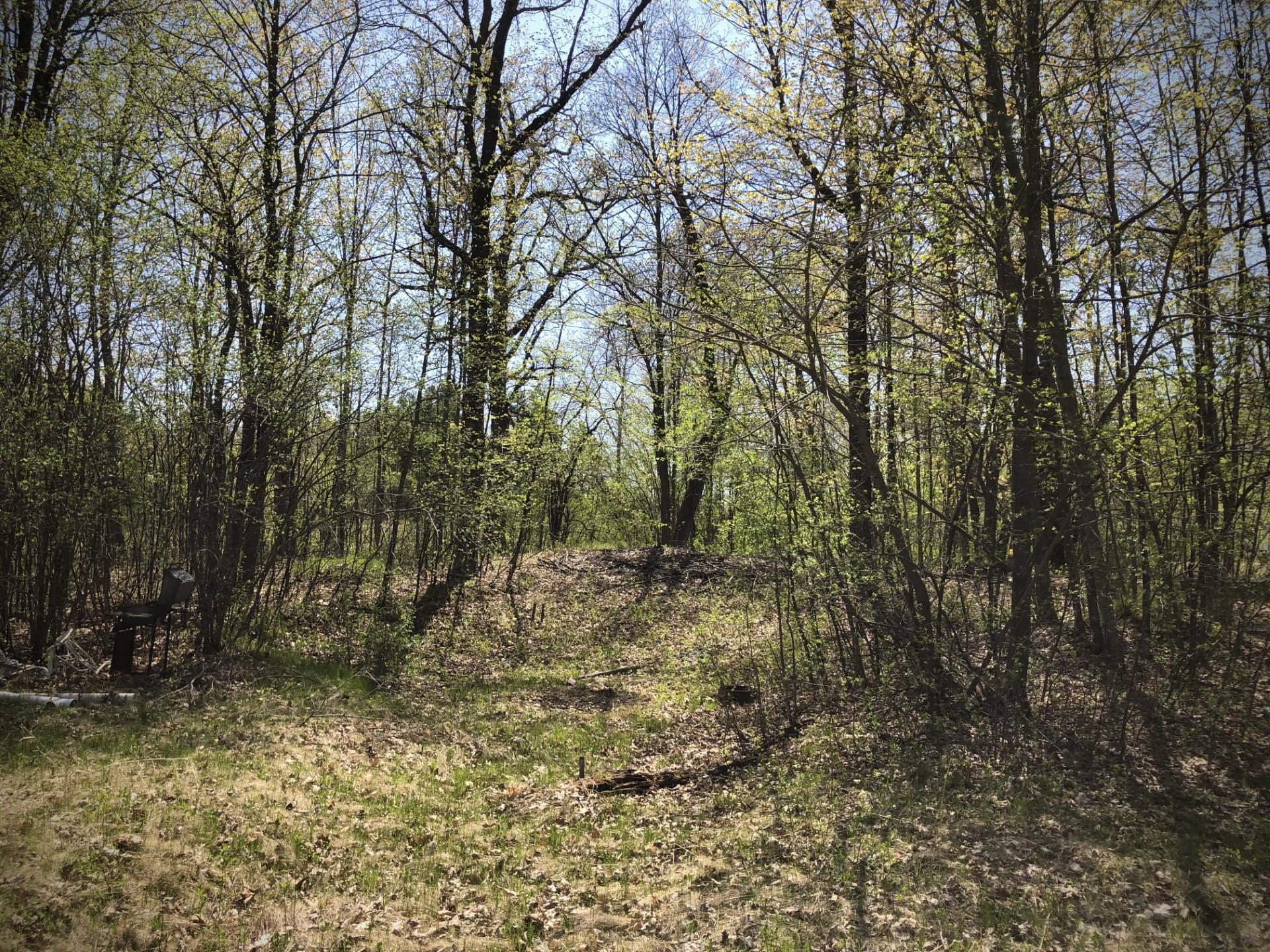 View from the middle of the lot to the south.