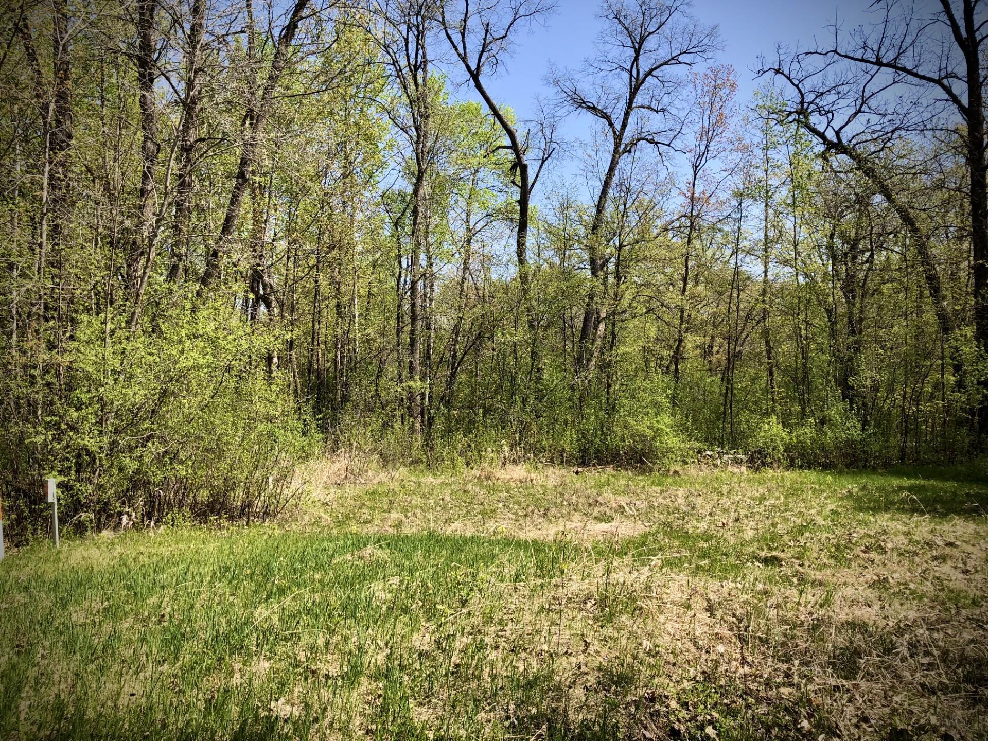 Alternate view of the lot from the west showing open area surrounded by woods.