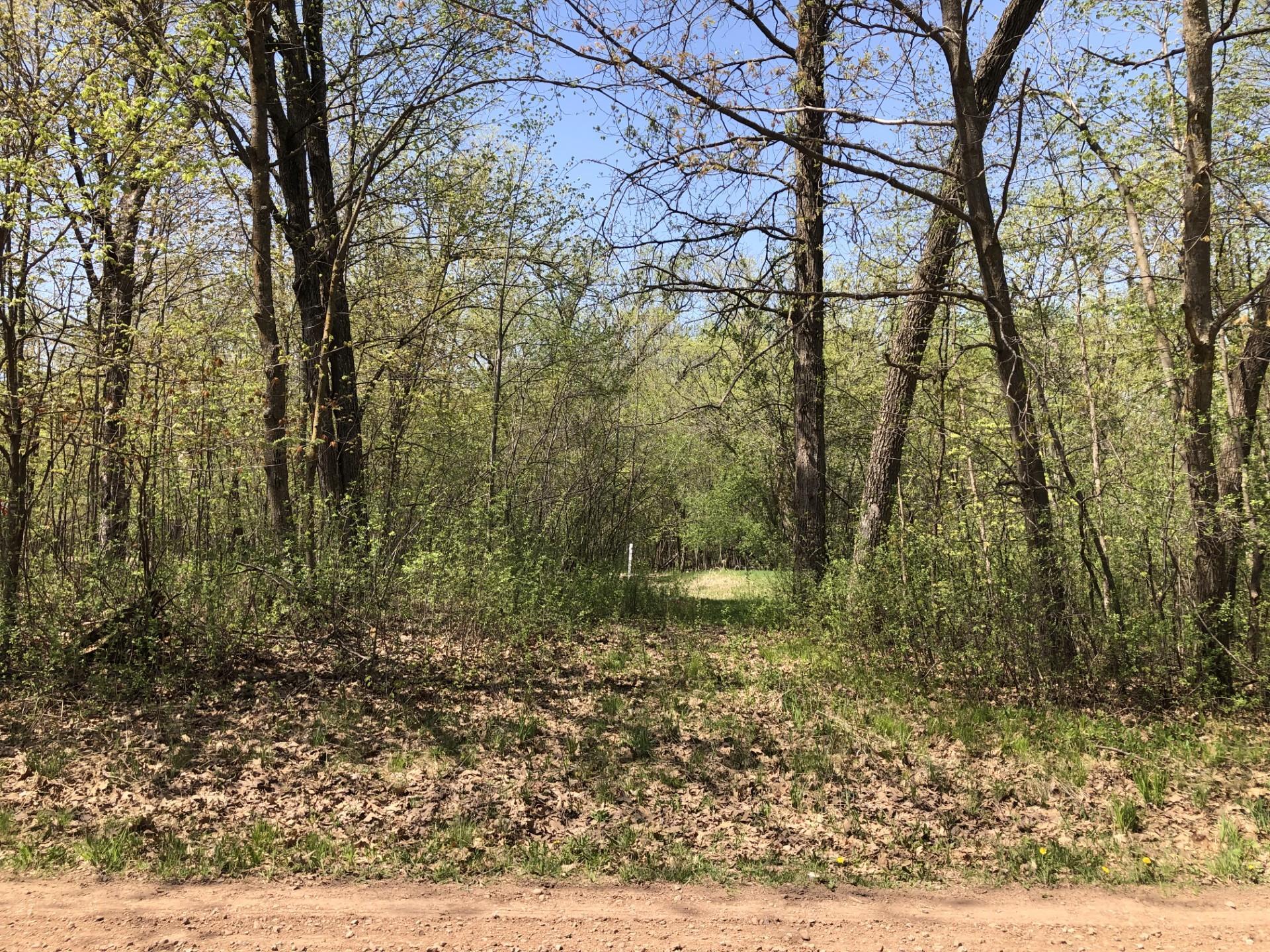 View of the lot from the road on the east side.