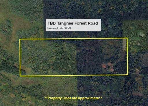 TBD Tangnes Forest Road, Roosevelt, MN 56673