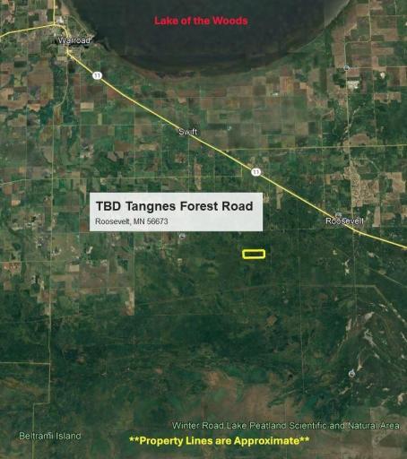 TBD Tangnes Forest Road, Roosevelt, MN 56673