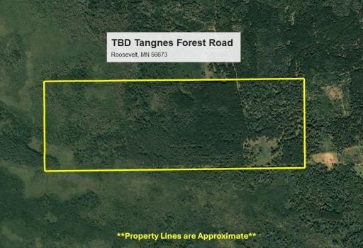 TBD Tangnes Forest Road, Roosevelt, MN 56673