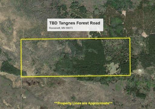 TBD Tangnes Forest Road, Roosevelt, MN 56673