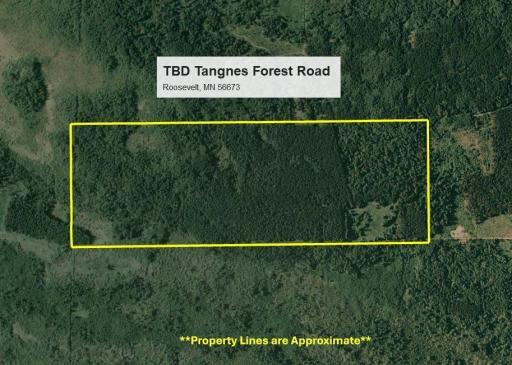 TBD Tangnes Forest Road, Roosevelt, MN 56673