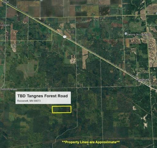 TBD Tangnes Forest Road, Roosevelt, MN 56673