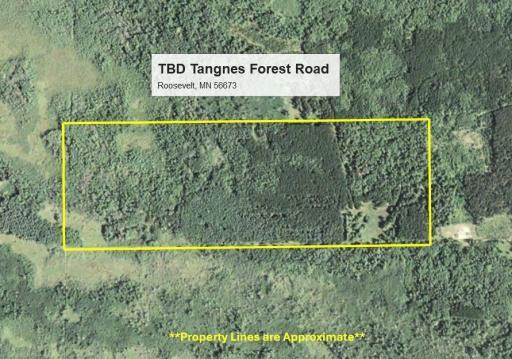 TBD Tangnes Forest Road, Roosevelt, MN 56673