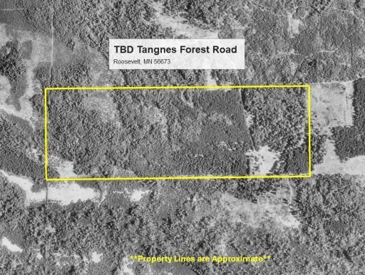 TBD Tangnes Forest Road, Roosevelt, MN 56673