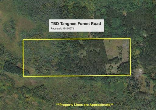 TBD Tangnes Forest Road, Roosevelt, MN 56673