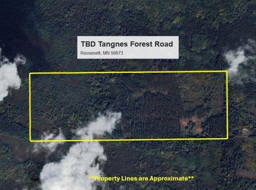 TBD Tangnes Forest Road, Roosevelt, MN 56673