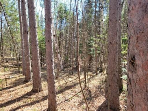 Photo for TBD 695th Avenue, Roosevelt, MN 56673 - Listing #6718714 TBD 695th Avenue, Roosevelt, MN 56673