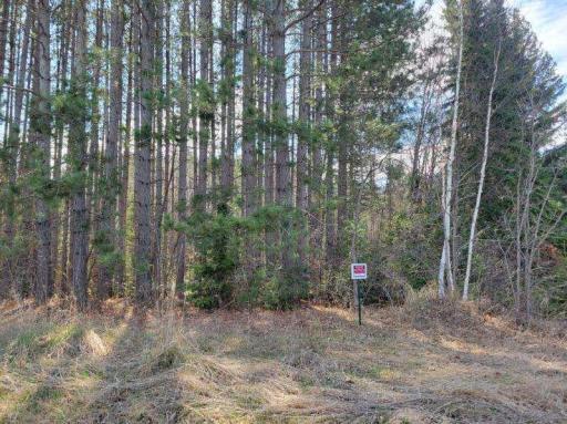 Photo for TBD 695th Avenue, Roosevelt, MN 56673 - Listing #6718714 TBD 695th Avenue, Roosevelt, MN 56673