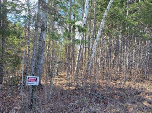 Photo for TBD 695th Avenue, Roosevelt, MN 56673 - Listing #6718714 TBD 695th Avenue, Roosevelt, MN 56673