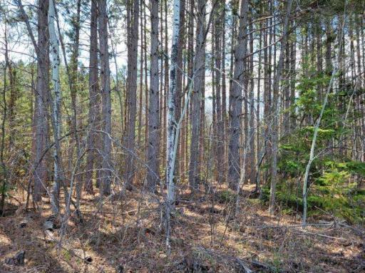 Photo for TBD 695th Avenue, Roosevelt, MN 56673 - Listing #6718714 TBD 695th Avenue, Roosevelt, MN 56673
