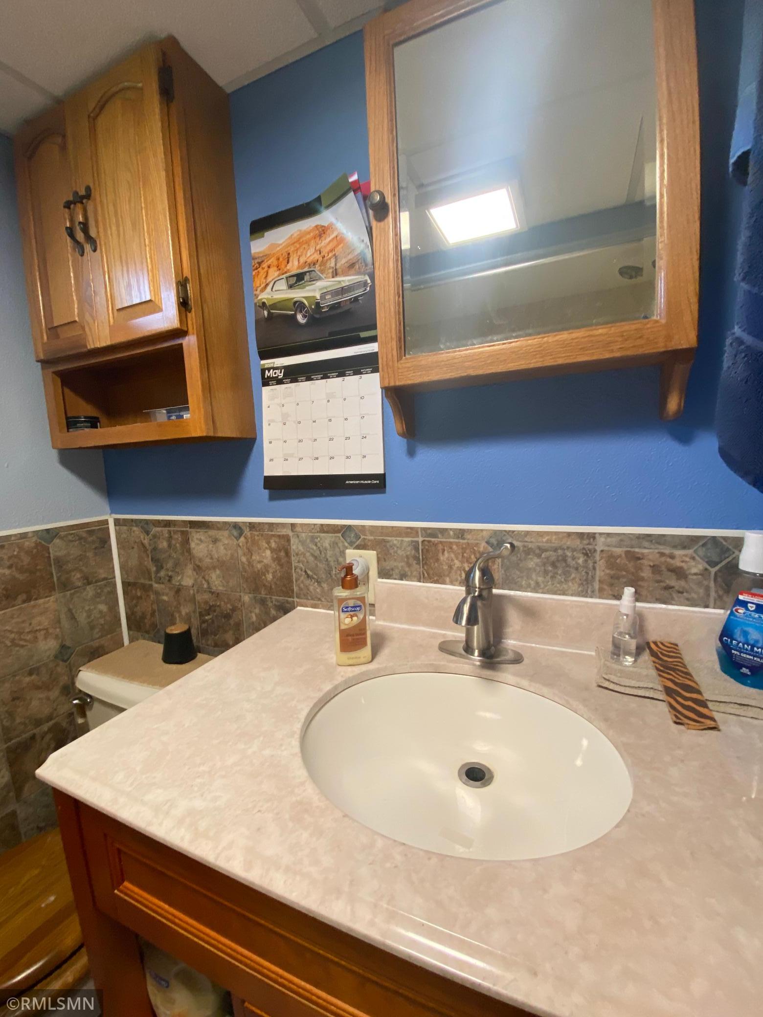 Lower level bathroom