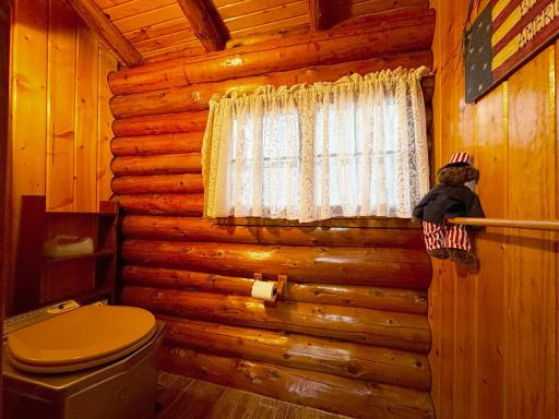 7236 Far North Road, Orr, MN 55771